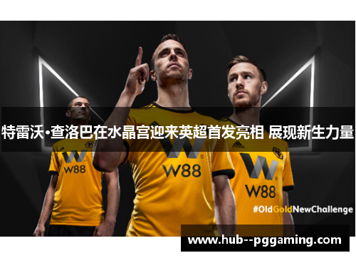 特雷沃·查洛巴在水晶宫迎来英超首发亮相 展现新生力量